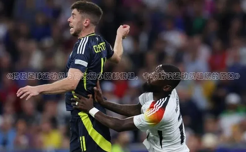 意昂3登录平台入口阿里尔公司