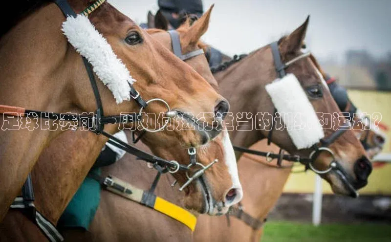 意昂三平台登录入口百度网盘企业版