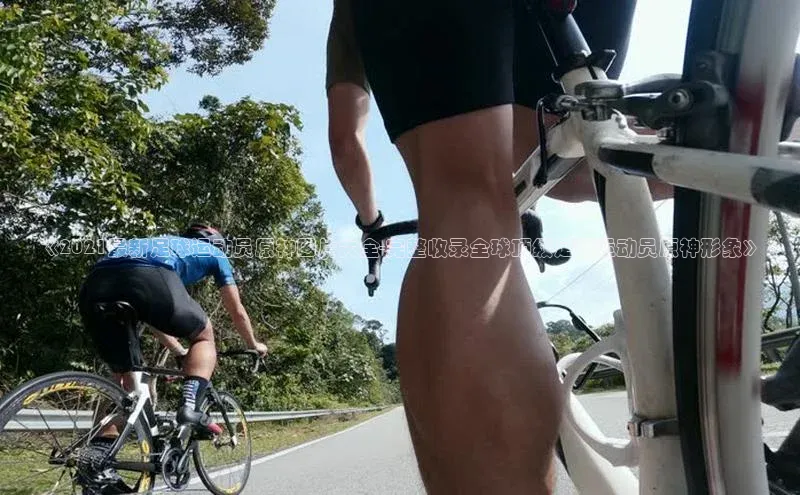 意昂3手机版登陆入口在哪里百度学术