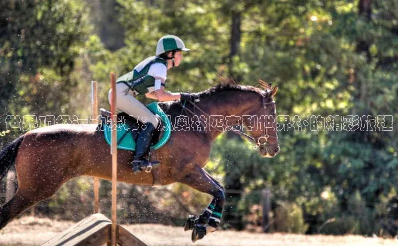 意昂体育官网注册